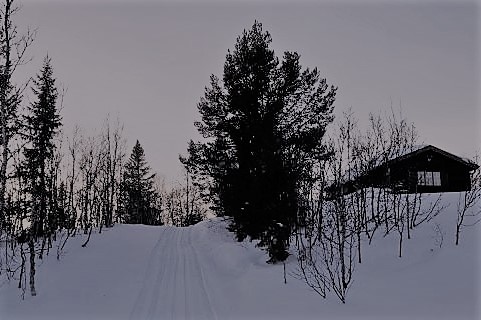 Pia Volden hytta