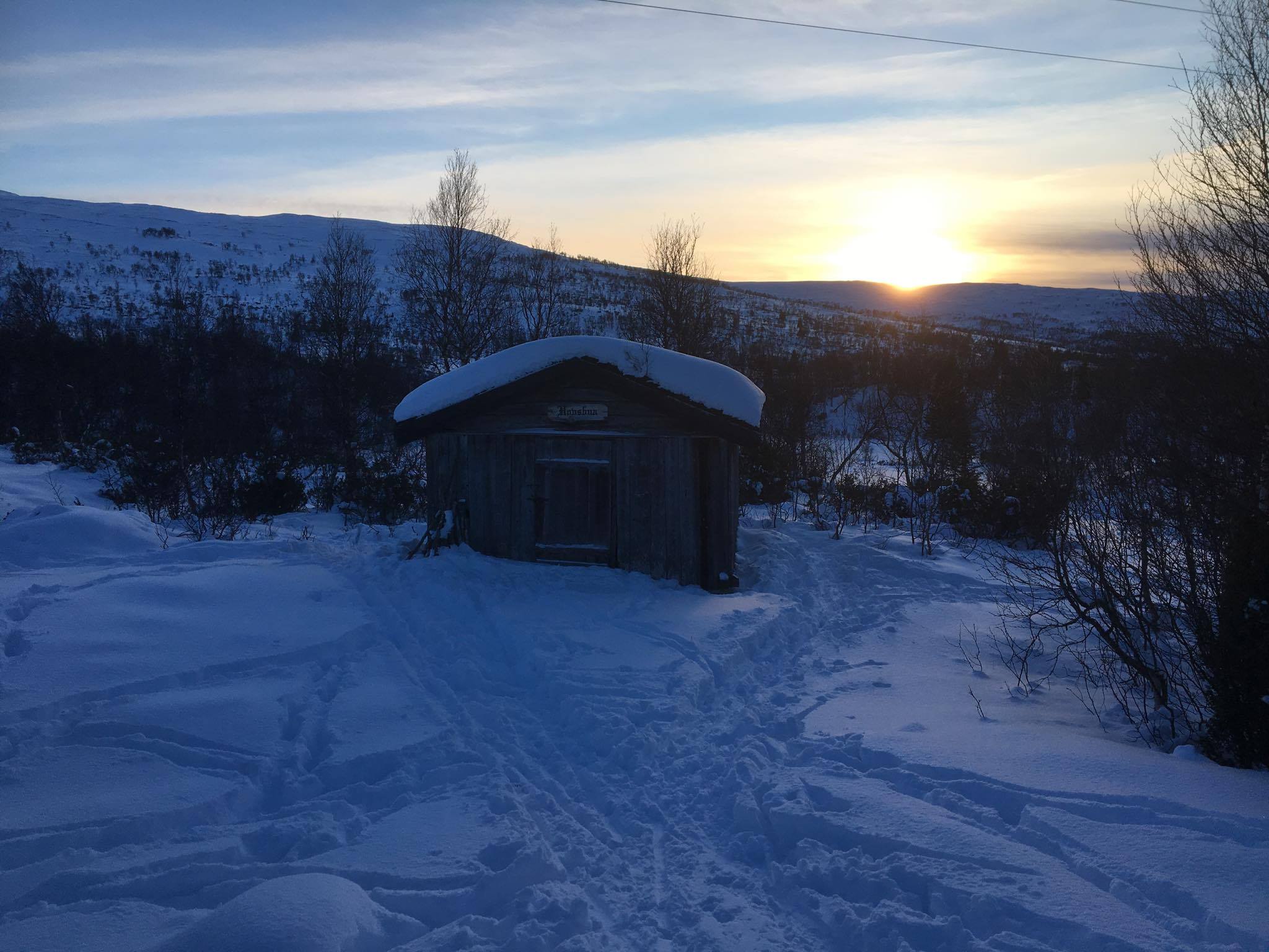 aunegrenda nov