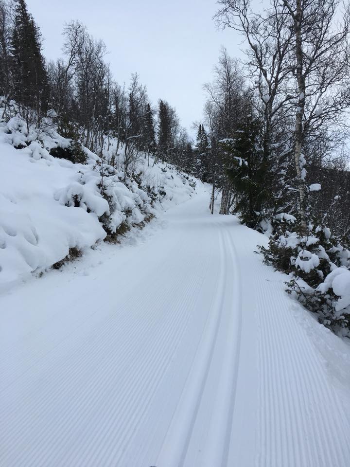 holddalsvollan