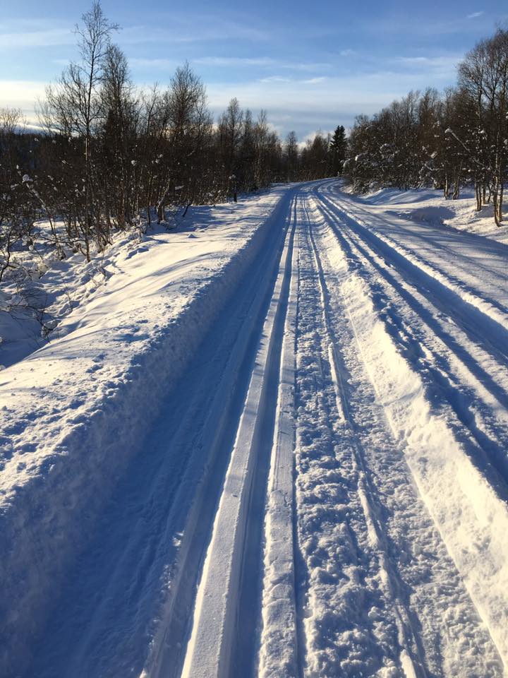 aunegrenda nov